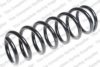 LESJ?FORS 4249106 Coil Spring